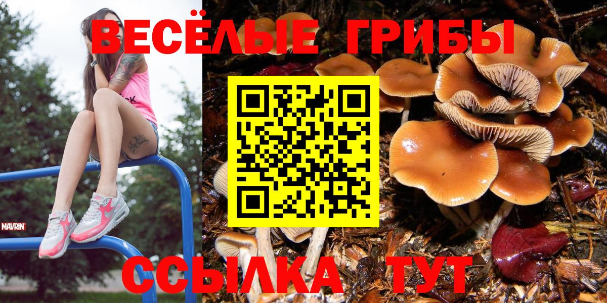 Галлюциногенные грибы GOLDEN TEACHER Кинешма