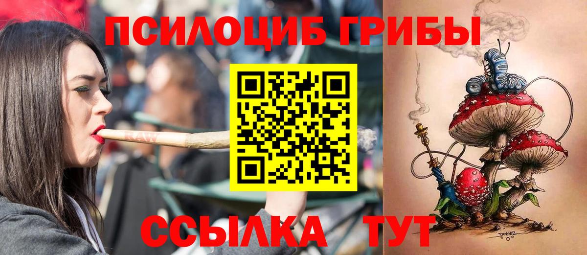 Галлюциногенные грибы мицелий  Вход с VPN  наркота  Кинешма 